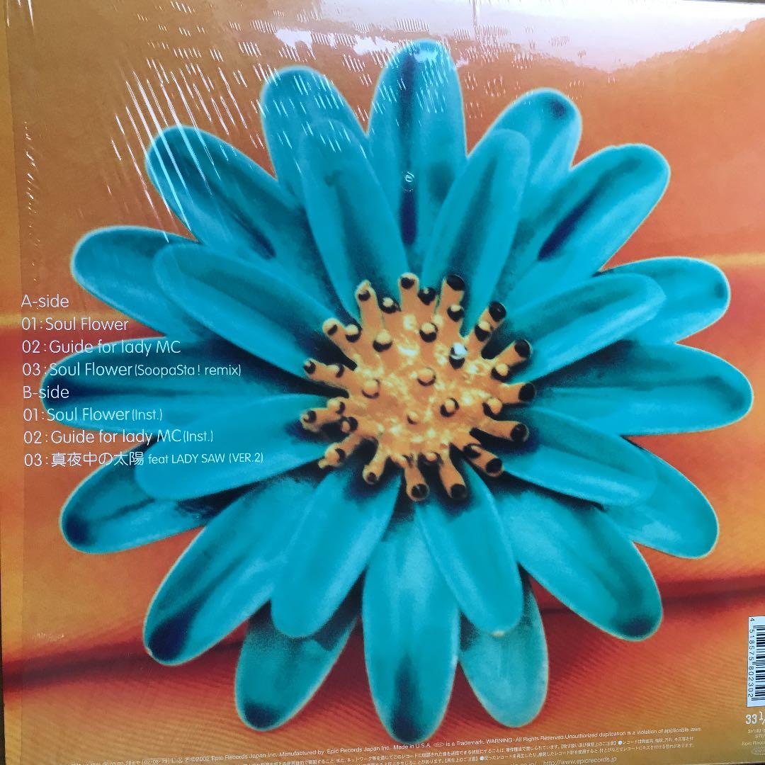 miss Monday ミス　マンディ　アナログ4枚