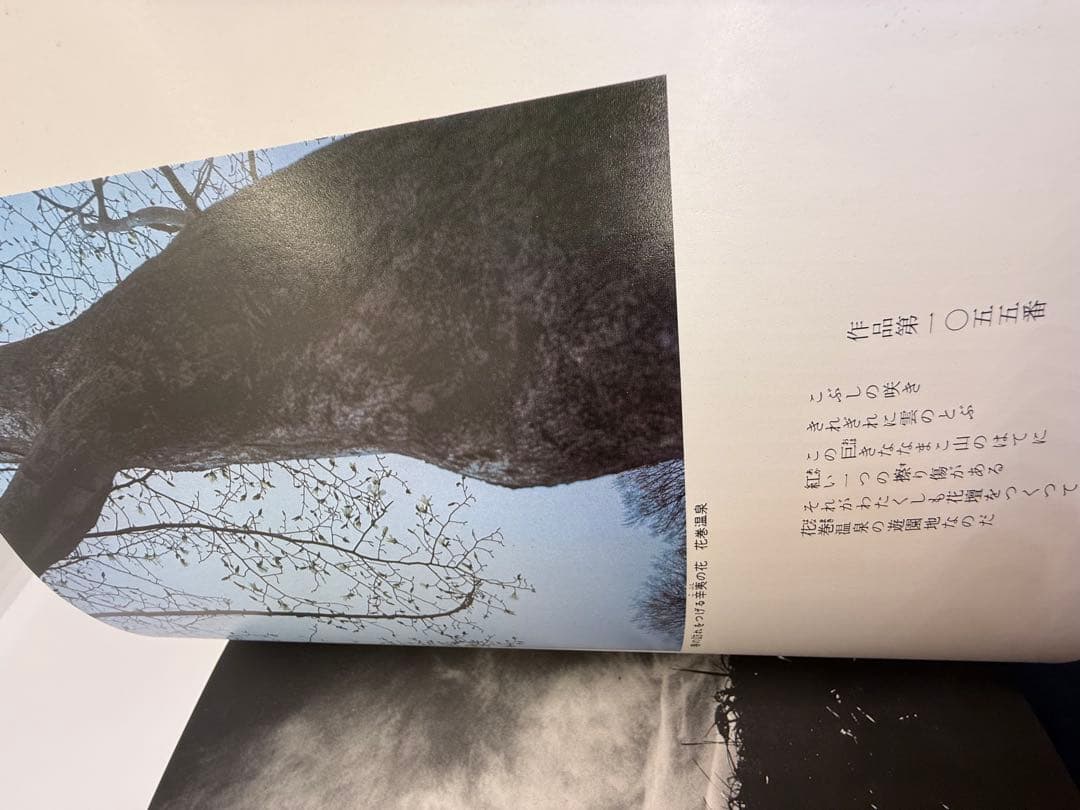 現代日本文学アルバム第10巻 【宮沢賢治】写真で見る日本近代文学