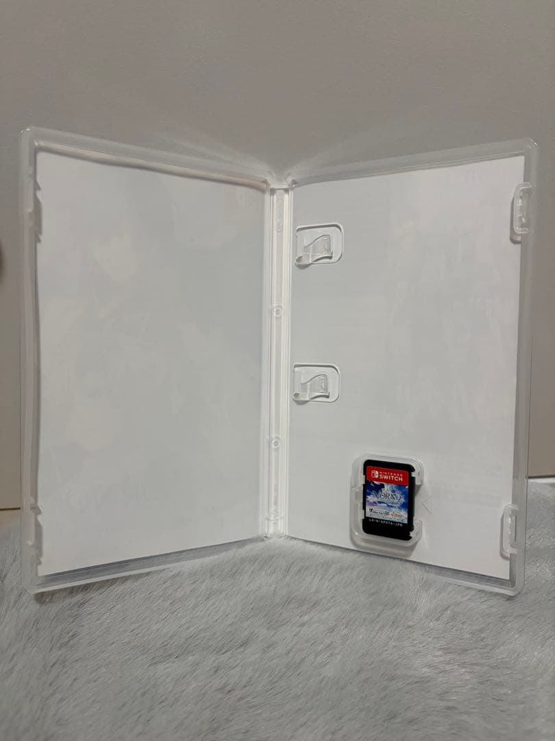 【お値下げしました！】NORN9LOFNforNintendoSwitch通常版